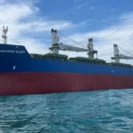 Maret, 2025 – Mitsubishi – General Inspection Job